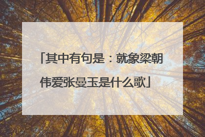 其中有句是:就象梁朝伟爱张曼玉是什么歌
