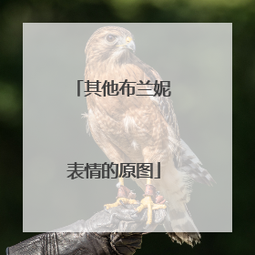 其他布兰妮表情的原图