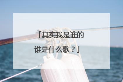 其实我是谁的谁是什么歌?