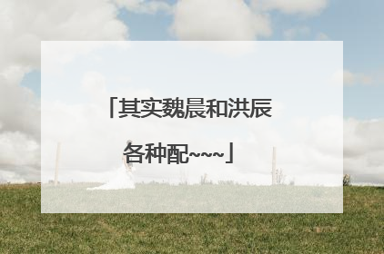 其实魏晨和洪辰各种配~~~