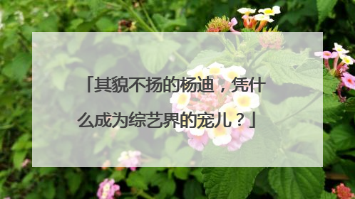 其貌不扬的杨迪，凭什么成为综艺界的宠儿？