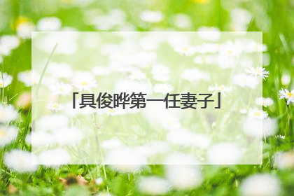 具俊晔第一任妻子