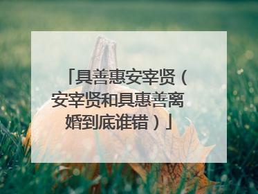 具善惠安宰贤(安宰贤和具惠善离婚到底谁错)