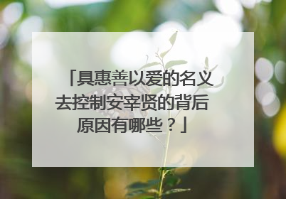 具惠善以爱的名义去控制安宰贤的背后原因有哪些？