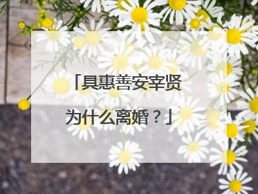 具惠善安宰贤为什么离婚？