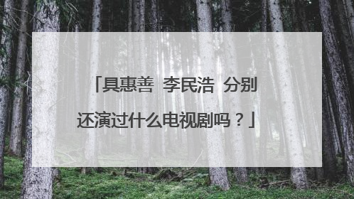具惠善 李民浩 分别还演过什么电视剧吗?