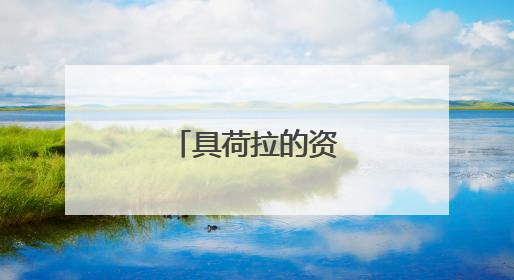 具荷拉的资料有么?