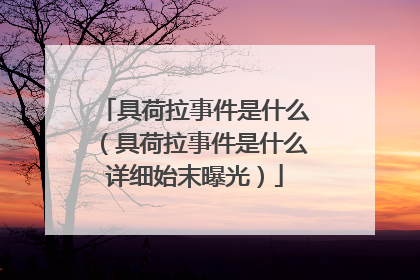 具荷拉事件是什么（具荷拉事件是什么详细始末曝光）