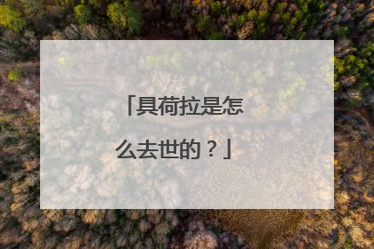 具荷拉是怎么去世的？