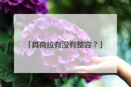 具荷拉有没有整容?