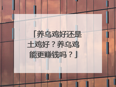 养乌鸡好还是土鸡好？养乌鸡能更赚钱吗？