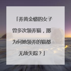 养黄金蟒的女子曾多次领养猫,那为何她领养的猫都无故失踪?