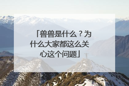 兽兽是什么？为什么大家都这么关心这个问题