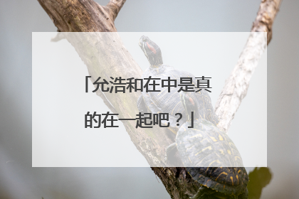允浩和在中是真的在一起吧?