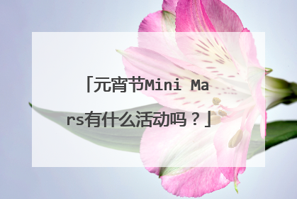 元宵节Mini Mars有什么活动吗？