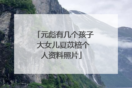 元彪有几个孩子 大女儿夏苡棓个人资料照片