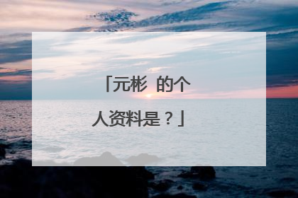 元彬 的个人资料是？