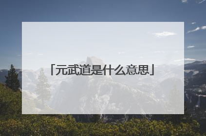 元武道是什么意思