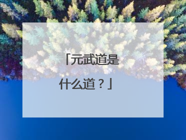 元武道是什么道？