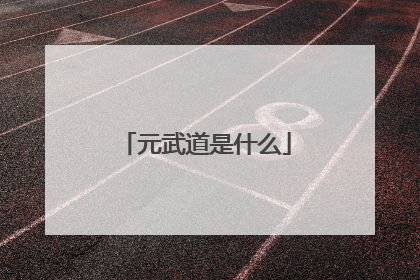 元武道是什么