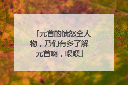 元首的愤怒全人物,乃们有多了解元首啊,喂喂