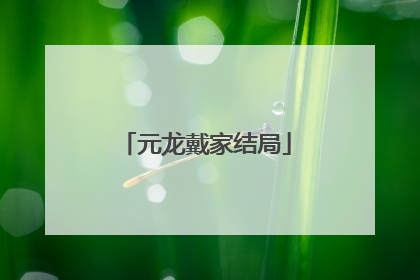 元龙戴家结局