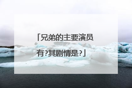 兄弟的主要演员有?其剧情是?