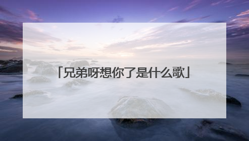 兄弟呀想你了是什么歌