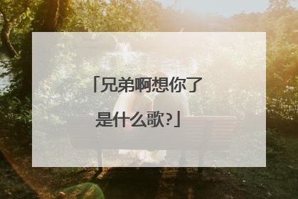 兄弟啊想你了是什么歌?