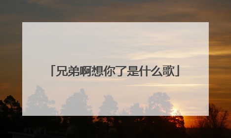 兄弟啊想你了是什么歌