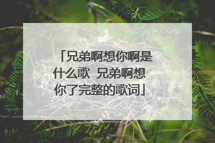 兄弟啊想你啊是什么歌 兄弟啊想你了完整的歌词