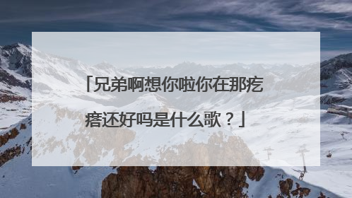 兄弟啊想你啦你在那疙瘩还好吗是什么歌?