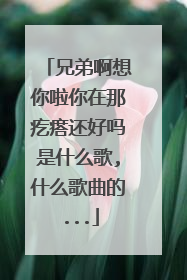 兄弟啊想你啦你在那疙瘩还好吗是什么歌,什么歌曲的...