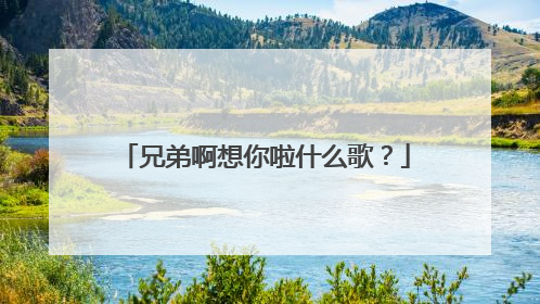 兄弟啊想你啦什么歌?