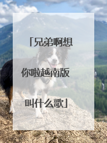 兄弟啊想你啦越南版叫什么歌