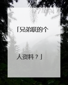 兄弟联的个人资料?