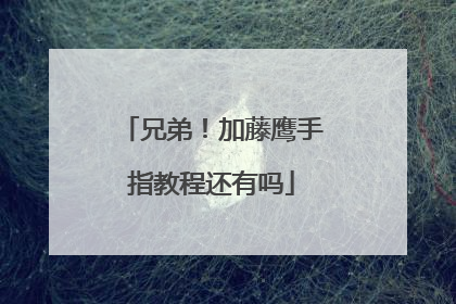 兄弟！加藤鹰手指教程还有吗