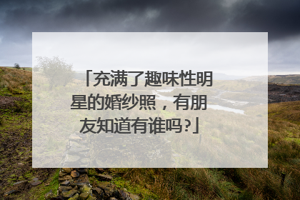 充满了趣味性明星的婚纱照，有朋友知道有谁吗?
