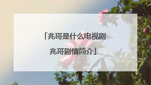 兆哥是什么电视剧 兆哥剧情简介