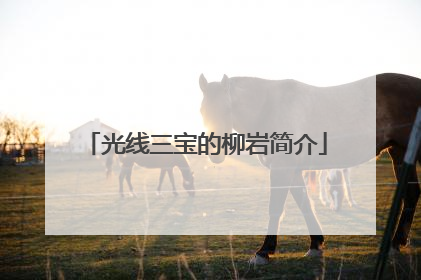 光线三宝的柳岩简介