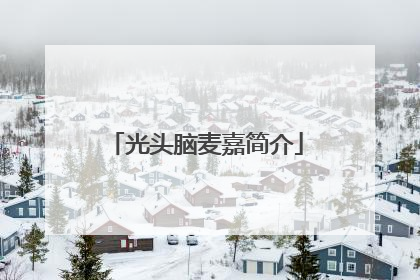 光头脑麦嘉简介