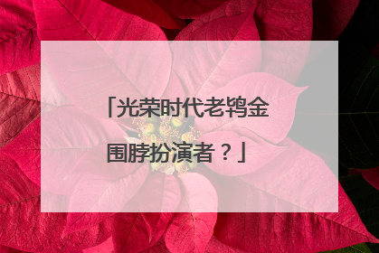 光荣时代老鸨金围脖扮演者？