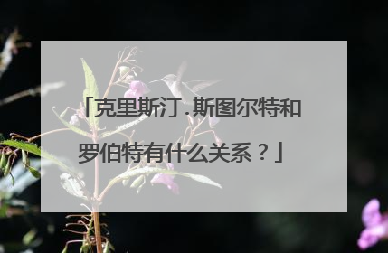 克里斯汀.斯图尔特和罗伯特有什么关系?