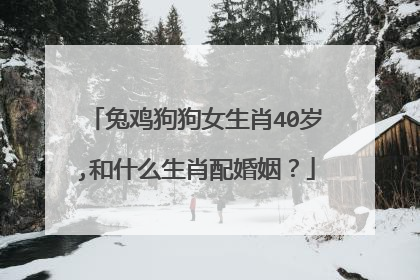兔鸡狗狗女生肖40岁,和什么生肖配婚姻?