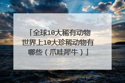 全球10大稀有动物 世界上10大珍稀动物有哪些（爪哇犀牛）