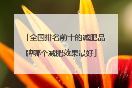 全国排名前十的减肥品牌哪个减肥效果最好