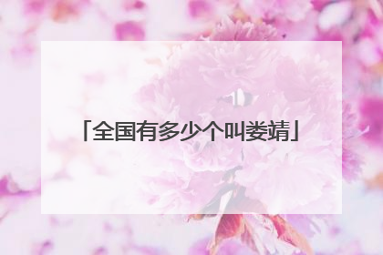 全国有多少个叫娄靖