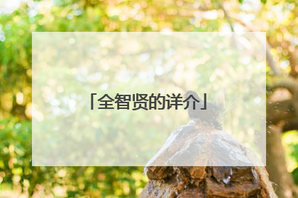 全智贤的详介