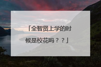 全智贤上学的时候是校花吗？？
