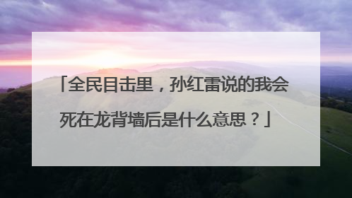 全民目击里,孙红雷说的我会死在龙背墙后是什么意思?